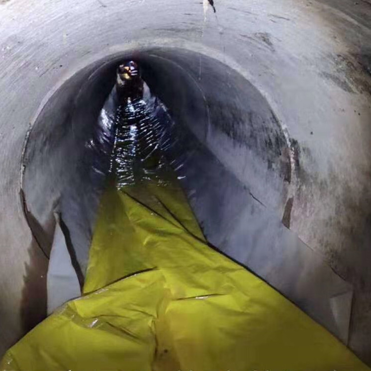 鸡冠管道光固化修复