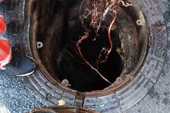 鸡冠管道预处理